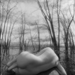 Canadian Amateurs Contour