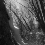 Canadian Amateurs Contour