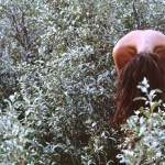 Canadian Amateurs Contour