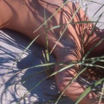 Canadian Amateurs Triskel