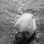 Canadian Amateurs Triskel