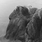 Canadian Amateurs Triskel