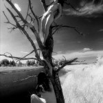 Canadian Amateurs Triskel