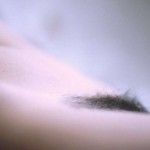 Untitled by Villeprat