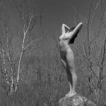 Untitled by Villeprat