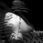 Untitled by Villeprat