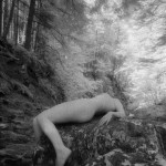 Untitled by Villeprat