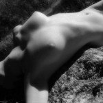 Untitled by Villeprat