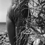 Untitled by Villeprat