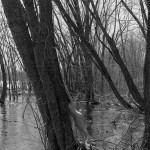 Untitled by Villeprat