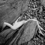 Untitled by Villeprat