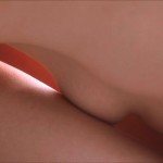 Canadian Amateurs Living Colors