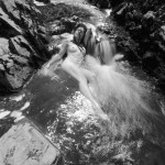 Canadian Amateurs Visions