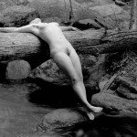 Canadian Amateurs Visions