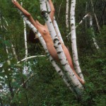 Canadian Amateurs Visions