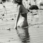 Met-Art Girls Brazilian Nymphs x120