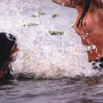 Met-Art Girls Brazilian Nymphs x120