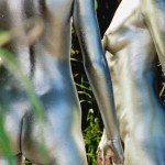 Met-Art Silver Nudism