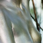 Met-Art Silver Nudism