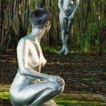 Met-Art Silver Nudism
