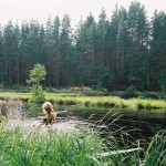 Three Nymphs Totally Nature