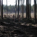 Met-Art Girls of Holy Nature Solstice