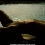 Met-Art Connaisseurs Des Arts