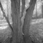 Met-Art Canadian Amateurs Espace