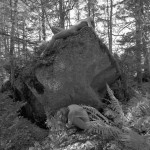 Met-Art Canadian Amateurs Espace