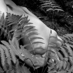 Met-Art Canadian Amateurs Spiral