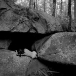 Met-Art Canadian Amateurs Spiral