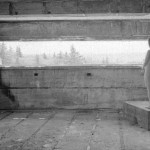 Katyia Canadian Amateurs Feelings