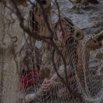 Met-Art Twin Sisters