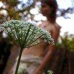 Tame The Tiger If You Dare 1