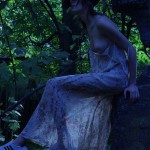 Tame The Tiger If You Dare 1