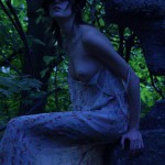 Tame The Tiger If You Dare 1