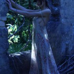 Tame The Tiger If You Dare 1