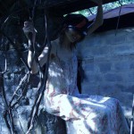 Tame The Tiger If You Dare 1