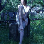 Tame The Tiger If You Dare 1