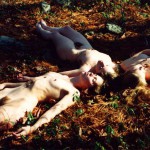 Met-Art Ronin Amateurs Achtland