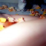 Met-Art Ronin Amateurs Achtland