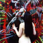 Ronin Collection of 50 Photos