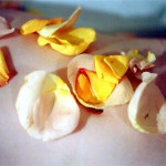 Ronin Collection of 50 Photos