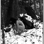 Ronin Collection of 50 Photos