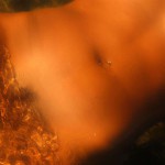 Met-Art Warm Regards