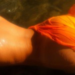 Met-Art Warm Regards