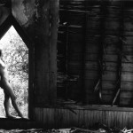 Met-Art Ronin Amateurs Canada