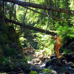 Met-Art Ronin Amateurs Canada