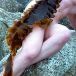 Met-Art Ronin Amateurs Canada