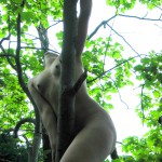 Met-Art Ronin Amateurs Canada